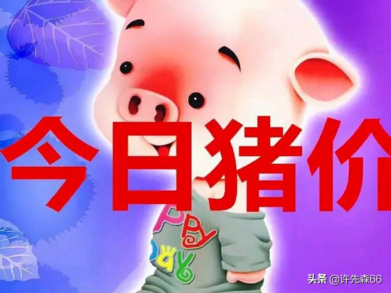 娱乐生活 第113页