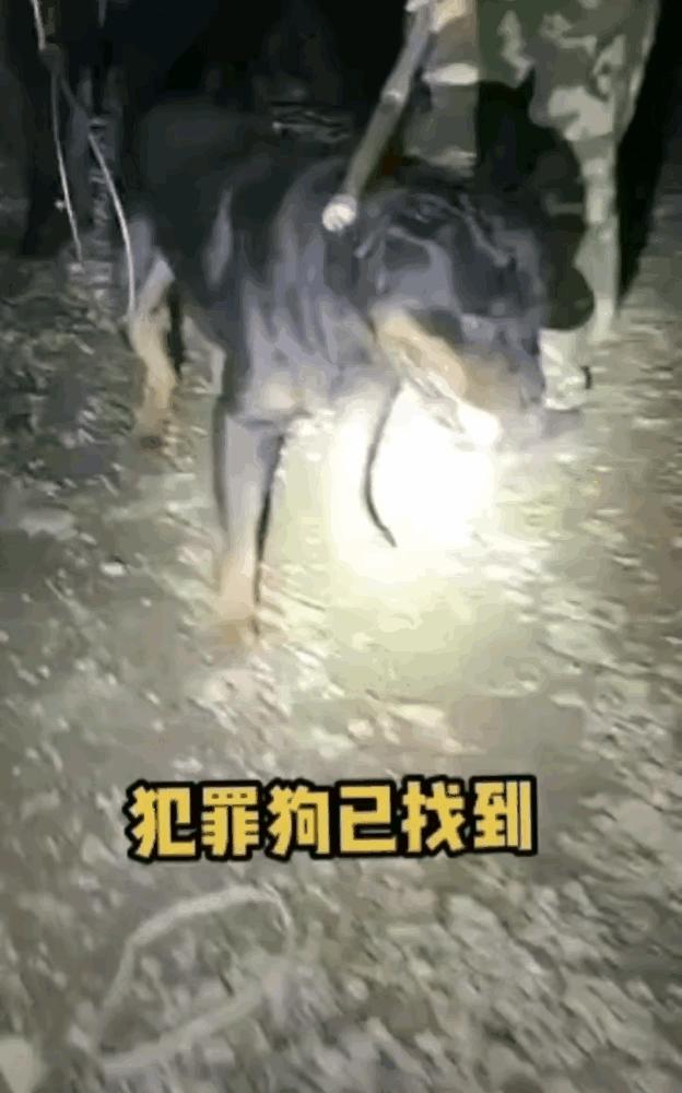 娱乐生活 第93页