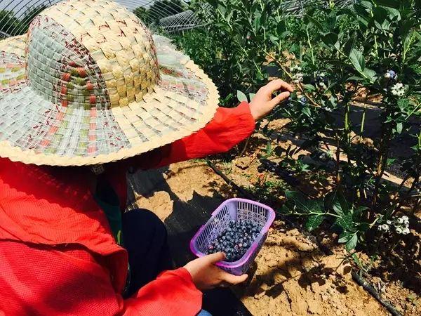 娱乐生活 第72页