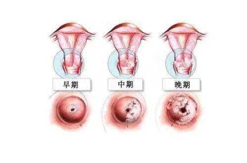 娱乐生活 第60页