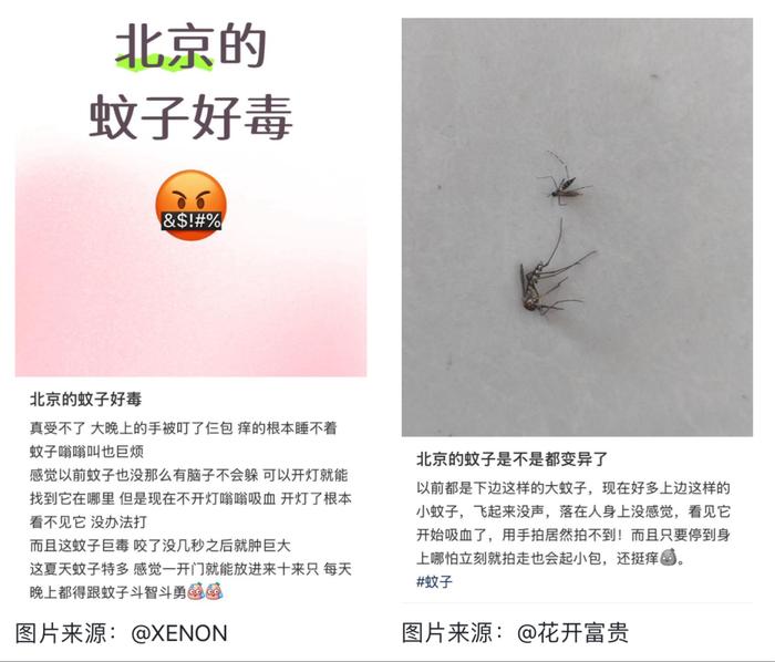 地方新闻 第39页