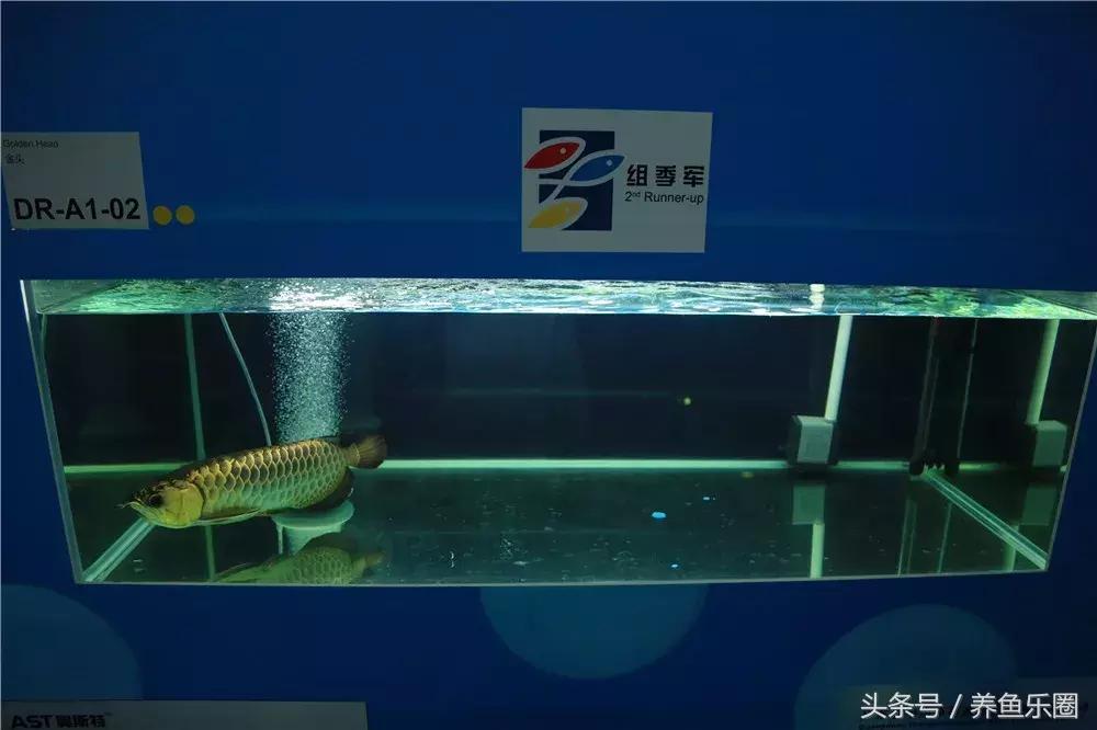 游戏专题 第25页