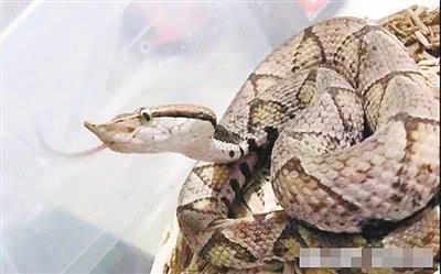 娱乐生活 第6页